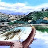 Salinas, 30 x 40 cm